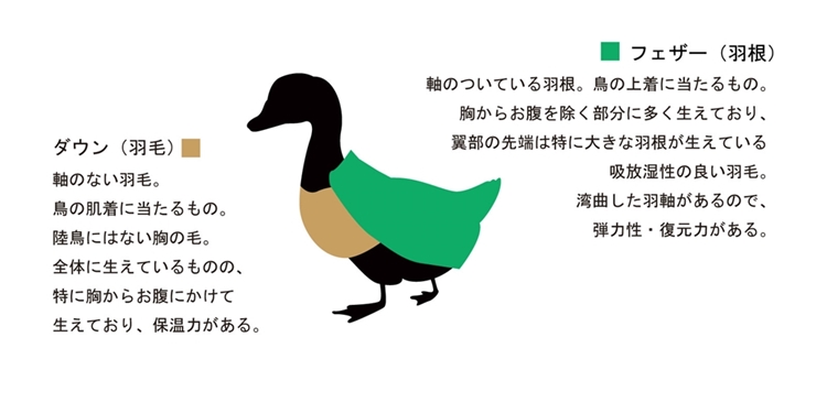 羽毛ふとん