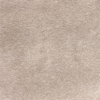 beige_field