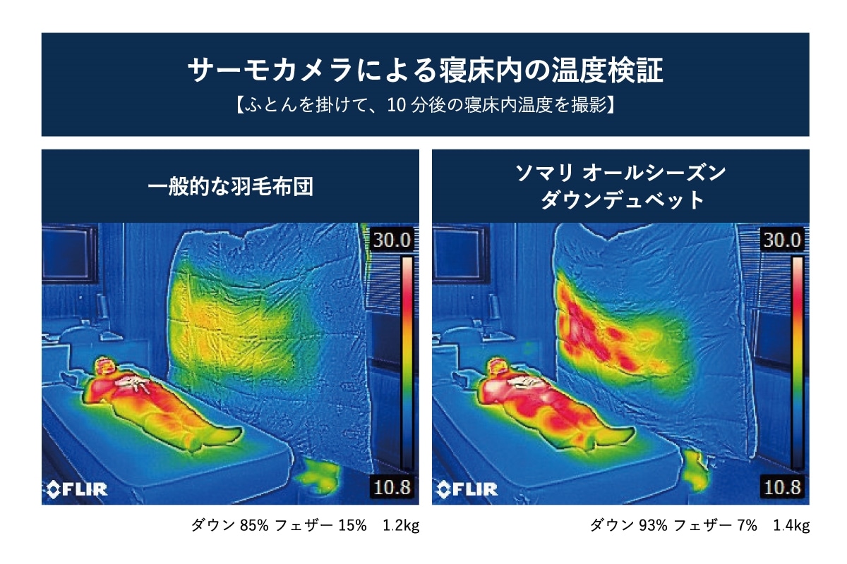ONE-THIRD Somali ALL SEASON DOWN DUVET S(シングル)