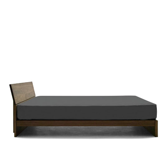 LEVY BED